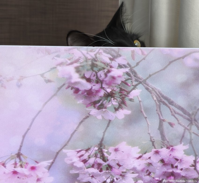 О лисах и хвостах — Азиатские виниловые куклы (разное): Китай