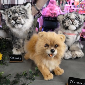 Территория кукол, май 25, часть заключительная