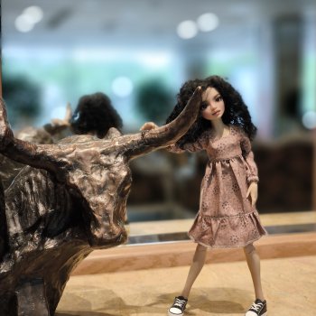 Шаганэ ты моя, Шаганэ