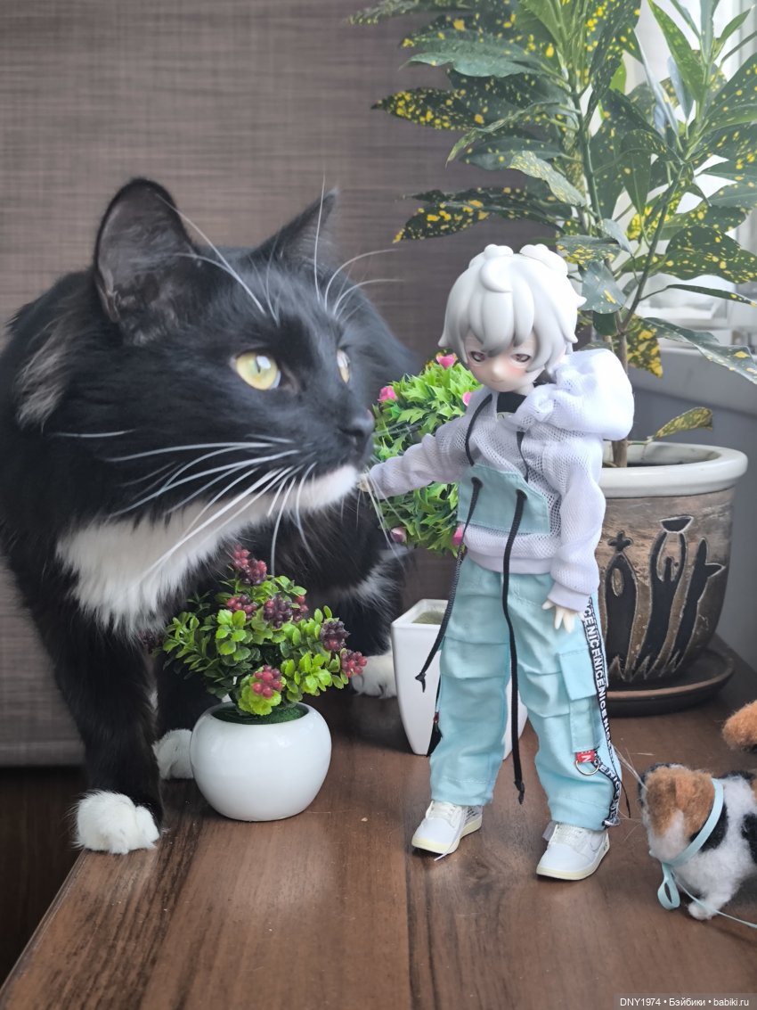 Зайцы против котов — Куклы и тела UFdoll (ЮФдолл): Blind Box (фото 2)