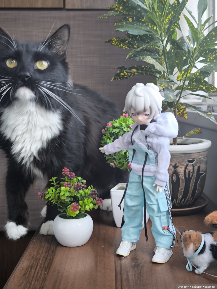 Зайцы против котов — Куклы и тела UFdoll (ЮФдолл): Blind Box (фото 3)