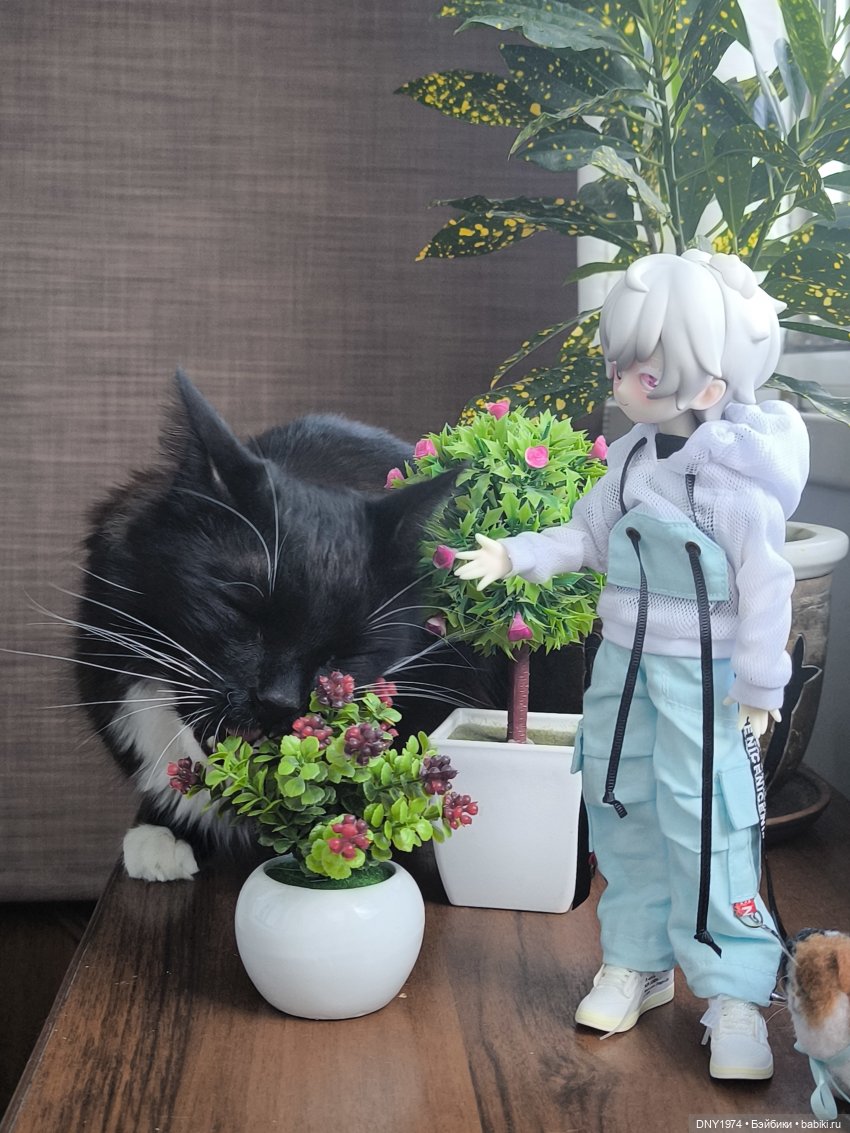 Зайцы против котов — Куклы и тела UFdoll (ЮФдолл): Blind Box (фото 5)