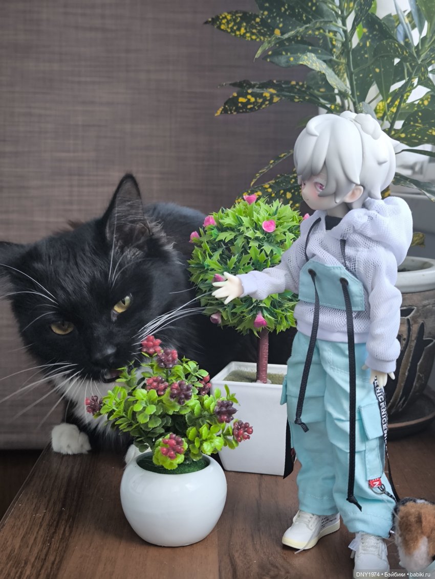 Зайцы против котов — Куклы и тела UFdoll (ЮФдолл): Blind Box (фото 4)