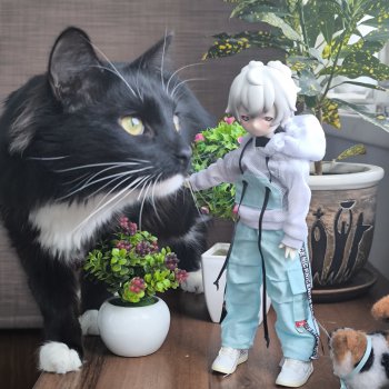 Зайцы против котов