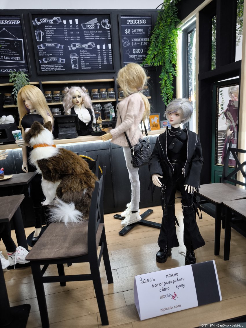 Мой четвертый Доллскар — Коллекции кукол BJD (БЖД): фото витрин