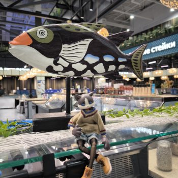 Рыбка для кисы