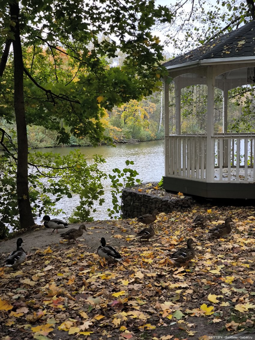 Глеб в Воздвиженском | Бэйбики Глеб в Воздвиженском — Куклы Dart dolls (Анна Шиткина): российские BJD (БЖД) (фото 2)