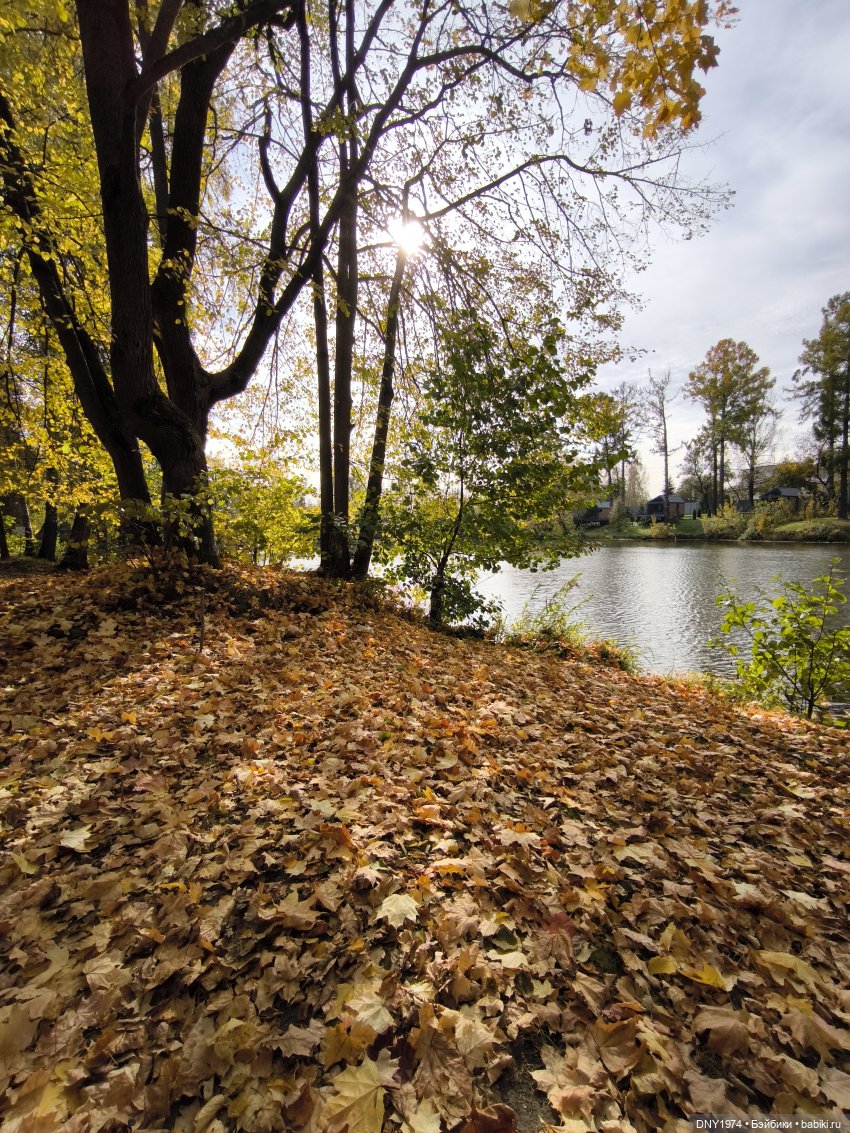 Глеб в Воздвиженском — Куклы Dart dolls (Анна Шиткина): российские BJD (БЖД)