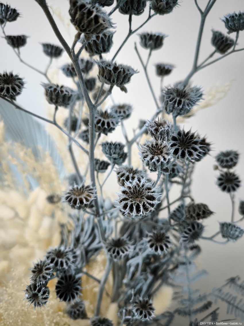 Прогулка Мэй — Авторские куклы BJD (БЖД) у нас дома: фото (фото 3)