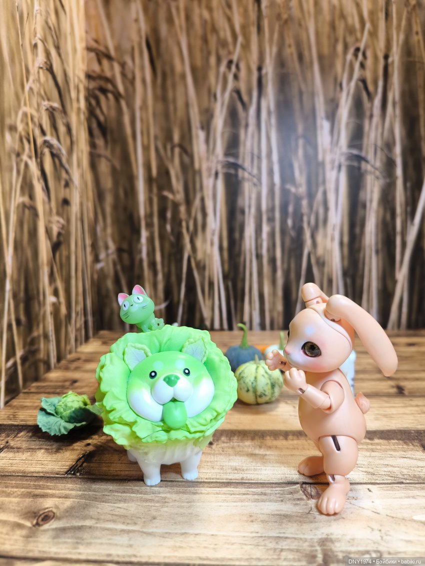 Во саду ли, в огороде | Бэйбики Во саду ли, в огороде — Авторские куклы BJD (БЖД) у нас дома: фото (фото 9)