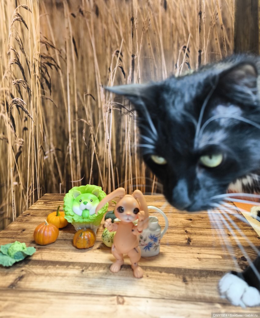Во саду ли, в огороде | Бэйбики Во саду ли, в огороде — Авторские куклы BJD (БЖД) у нас дома: фото (фото 6)