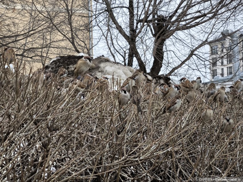 Как я гуляла с мини мной — Авторские куклы BJD (БЖД) у нас дома: фото (фото 2)