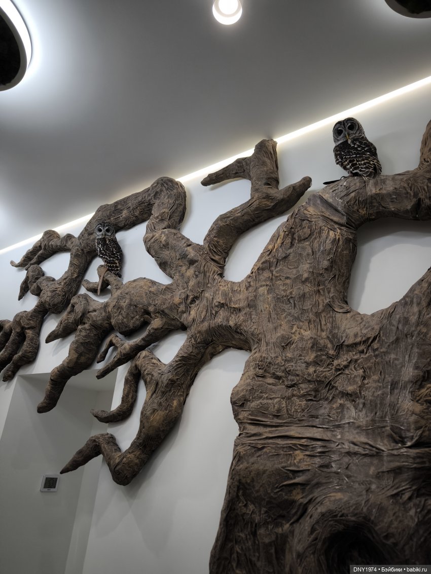 Прогулка с Чарли | Бэйбики Прогулка с Чарли — Авторские куклы BJD (БЖД) у нас дома: фото