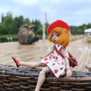 В Солнечном пасмурный день