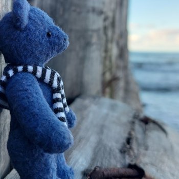 Морские прогулки с новеньким медвежонком