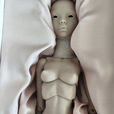 Robin Popovy Sisters