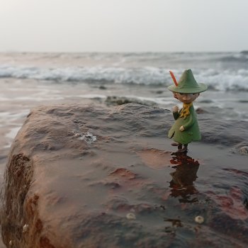 Снусмумрик во Владивостоке