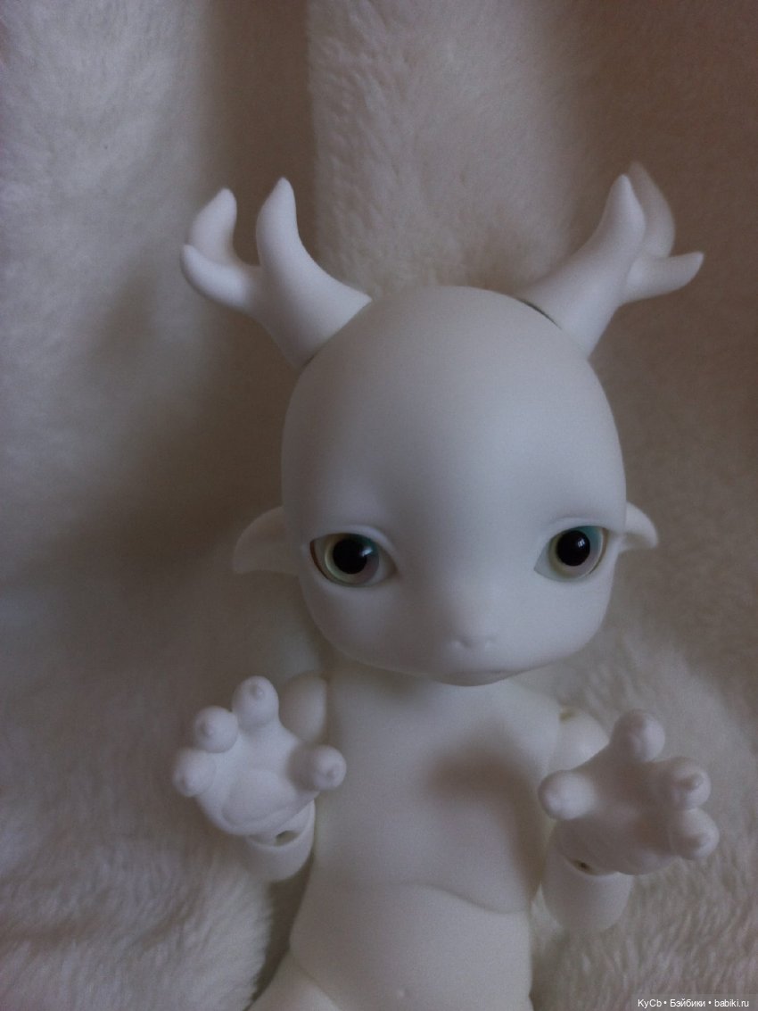 Первый день дома Zuzu Delf Rumi (фото 5)