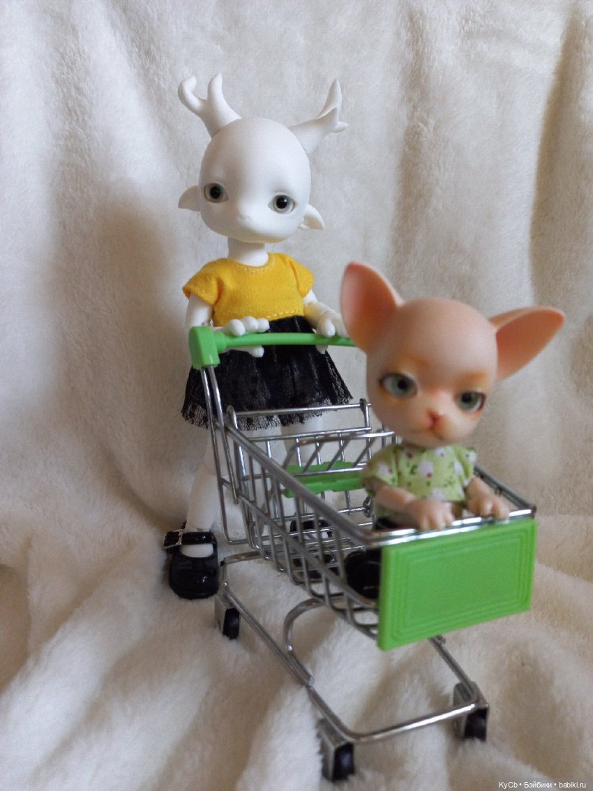 Первый день дома Zuzu Delf Rumi