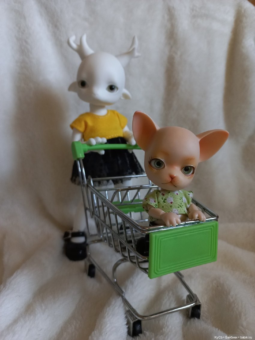 Первый день дома Zuzu Delf Rumi