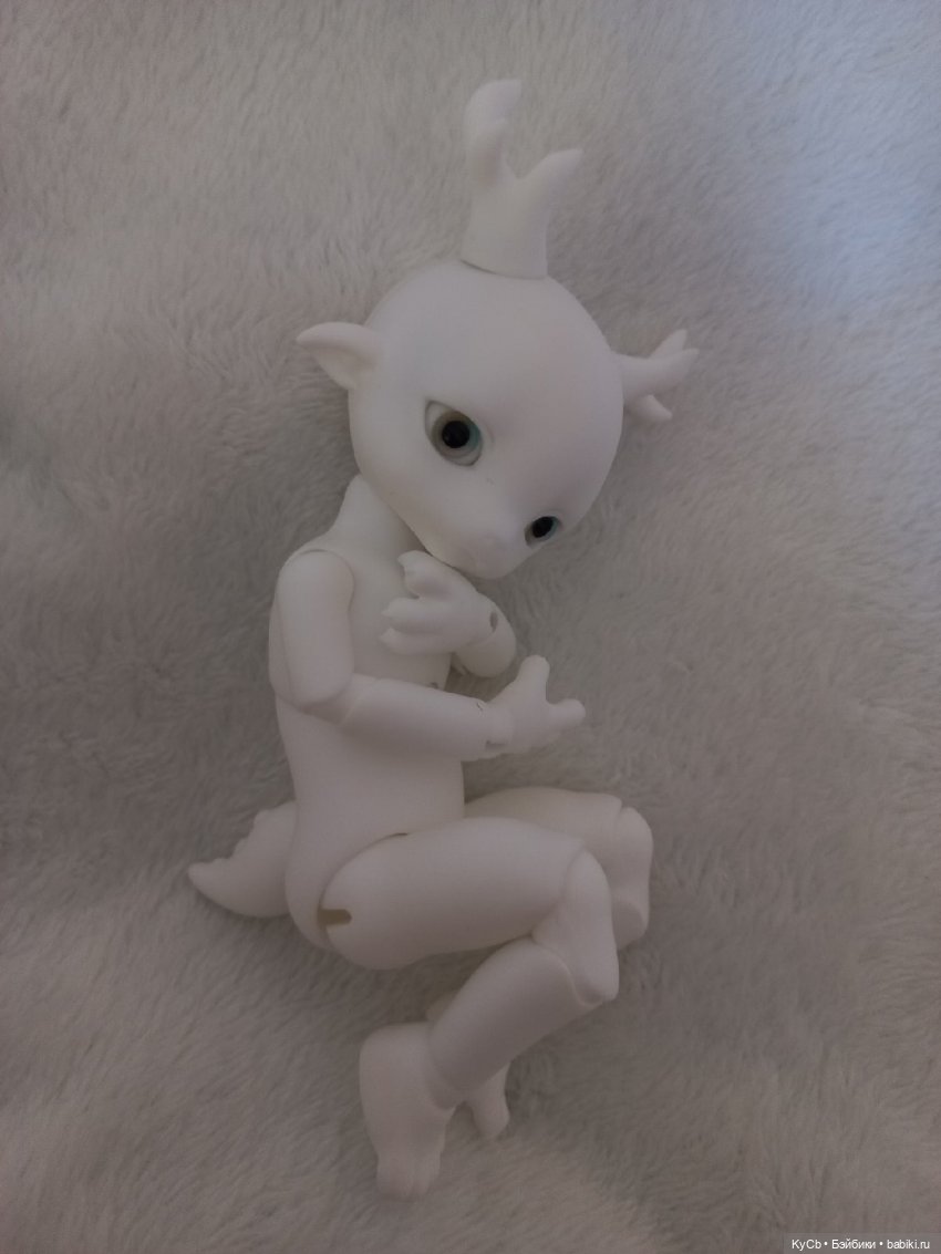 Первый день дома Zuzu Delf Rumi