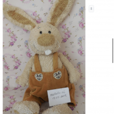 Помогите найти! Любимая игрушка детства