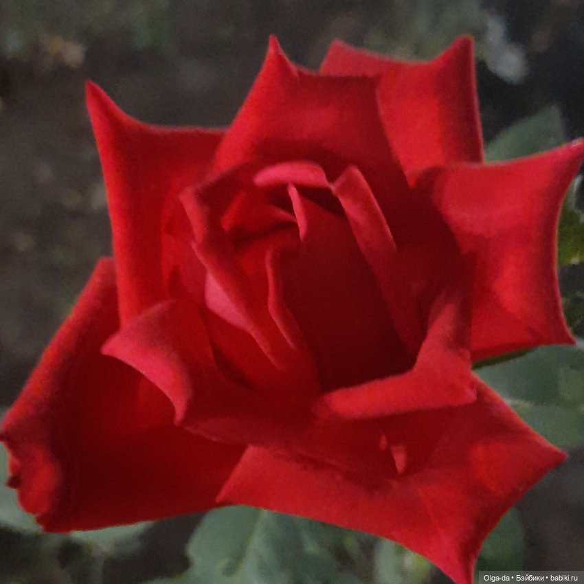 Моя РЕМКОмпания — Интересное и необычное: фотоподборки