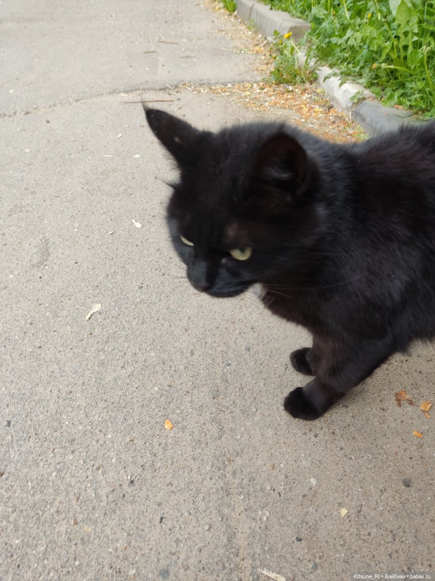 Прогулочное. Джувел | Бэйбики Прогулочное. Джувел — Куклы Rainbow High (Рейнбоу Хай (фото 7)