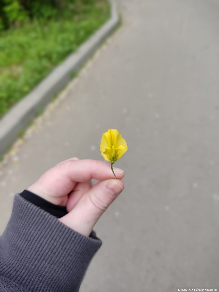 Прогулочное. Джувел | Бэйбики Прогулочное. Джувел — Куклы Rainbow High (Рейнбоу Хай (фото 8)