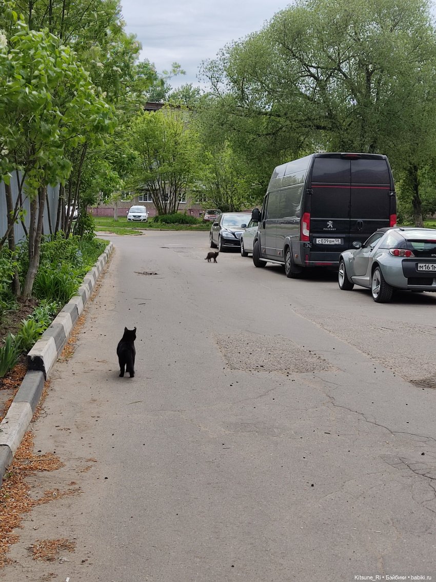 Прогулочное. Джувел | Бэйбики Прогулочное. Джувел — Куклы Rainbow High (Рейнбоу Хай (фото 5)
