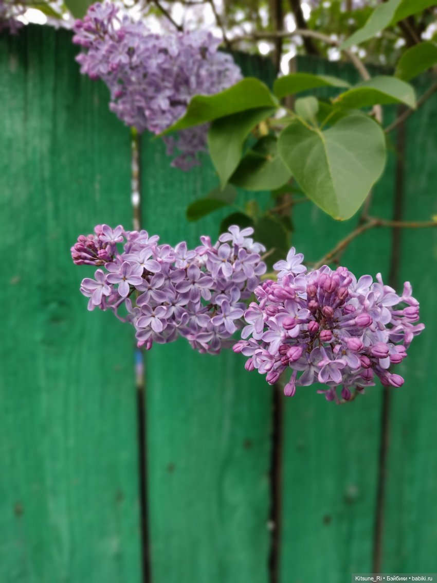 Прогулочное. Джувел — Куклы Rainbow High (Рейнбоу Хай (фото 10)