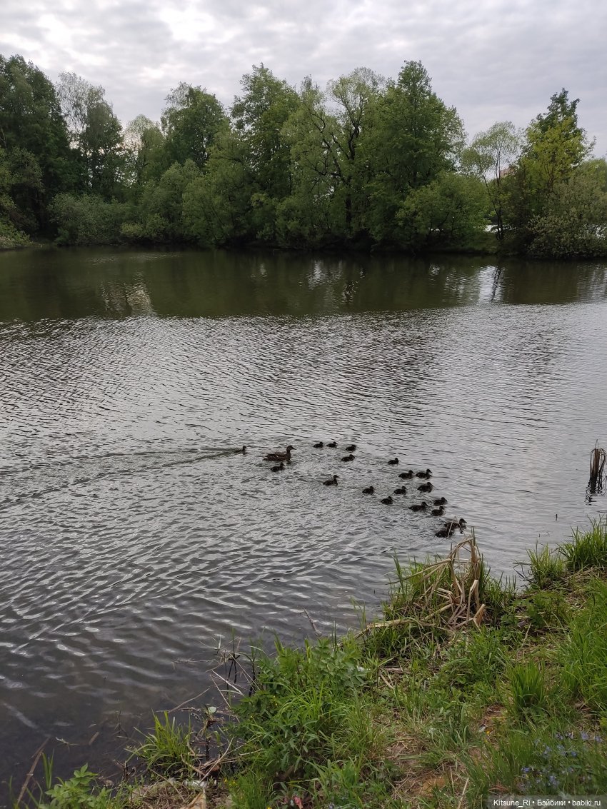 Прогулочное. Джувел | Бэйбики Прогулочное. Джувел — Куклы Rainbow High (Рейнбоу Хай