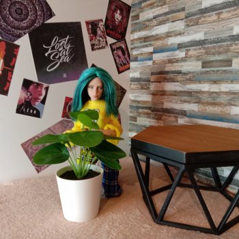 Один день - одно фото