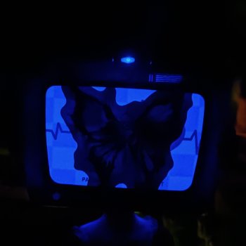 "Говорит и показывает" Ufdoll Cat TV