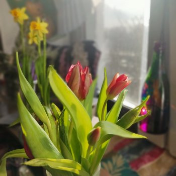 Восьмая марта🥳