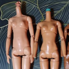 Тела Barbie MTM