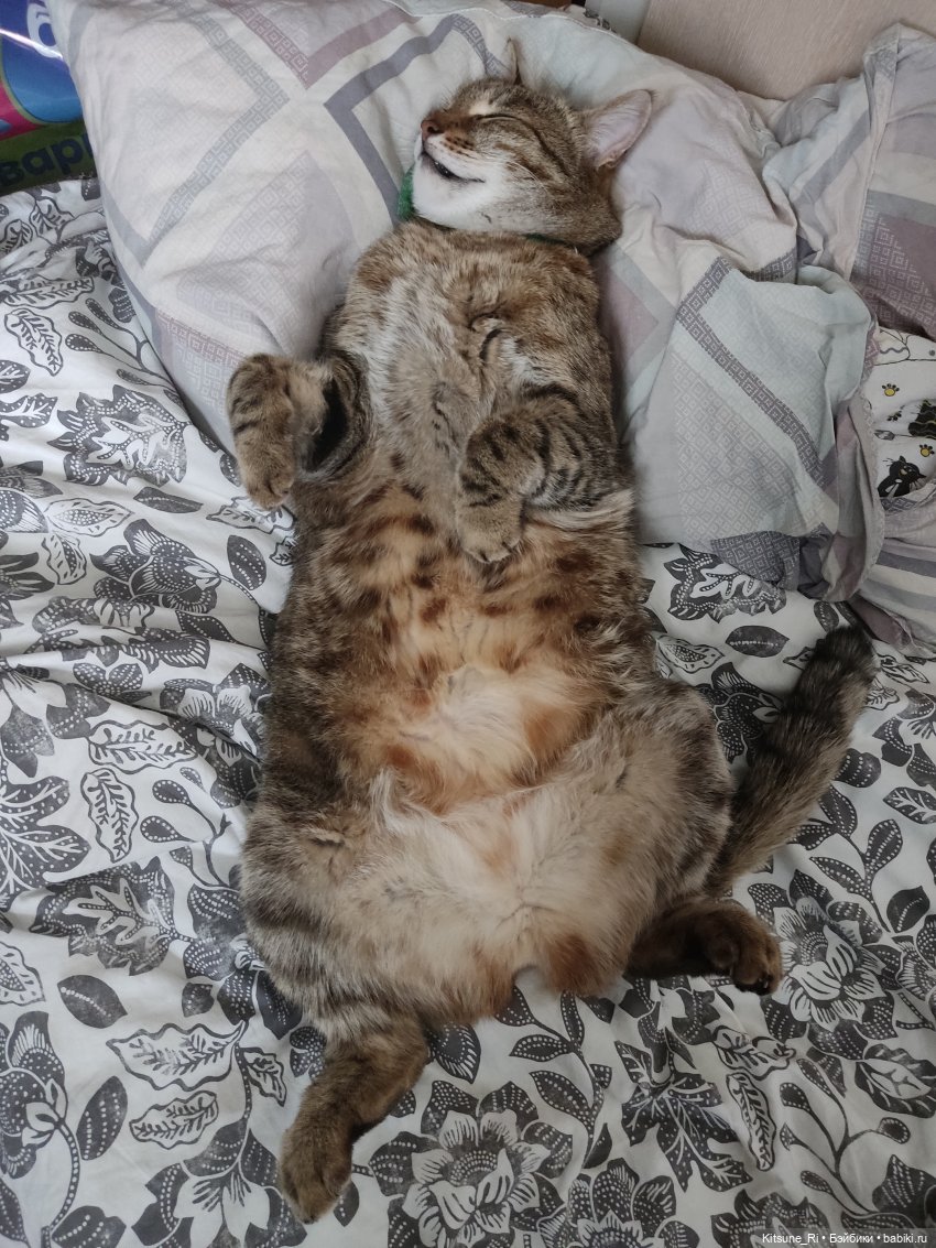 MooWooArt Eternal Night Scar 1/6