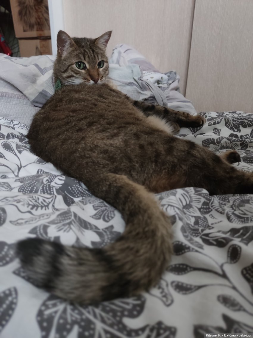 MooWooArt Eternal Night Scar 1/6