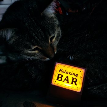 Come4arts: "Давайте откроем бар!"