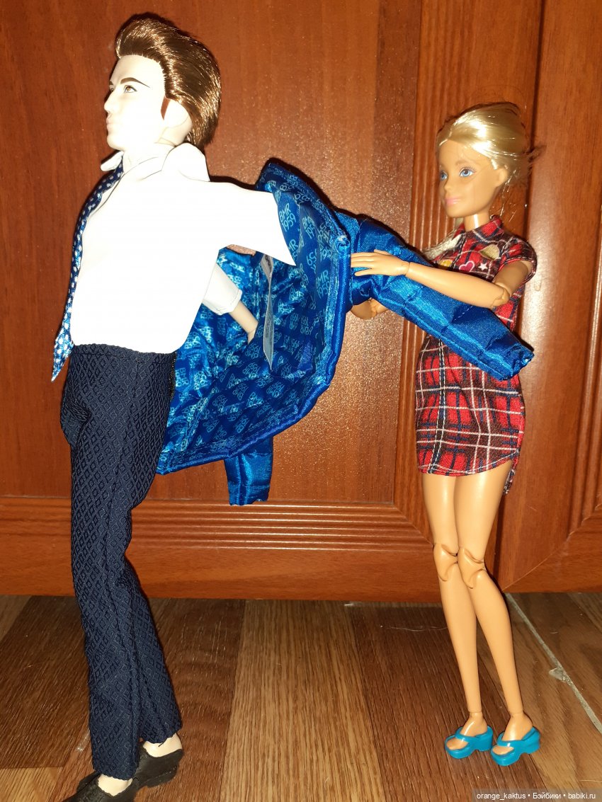 Цветы шиповника. Часть 1. Итак, домой пришел Арсений (фото 4)