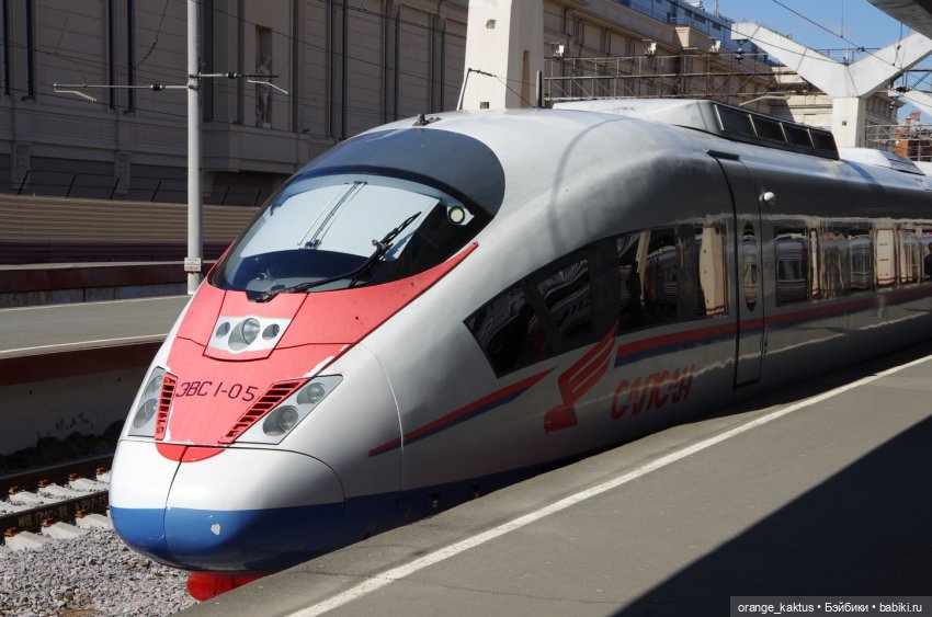 Цветы шиповника. Часть 6. "Вы уезжаете. Как жаль, что уезжаете..." (фото 10)