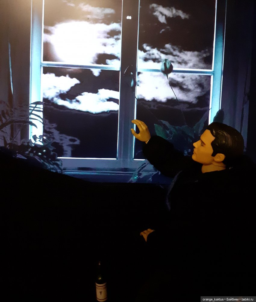 Цветы шиповника. Часть 15. Как Михаил Андреевич стал Кактусом (фото 2)