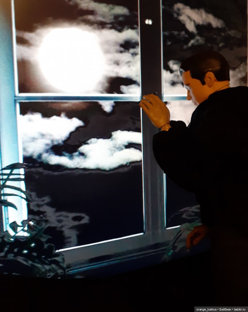 Цветы шиповника. Часть 15. Как Михаил Андреевич стал Кактусом