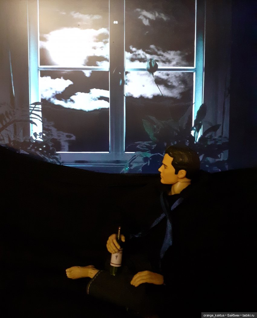 Цветы шиповника. Часть 15. Как Михаил Андреевич стал Кактусом