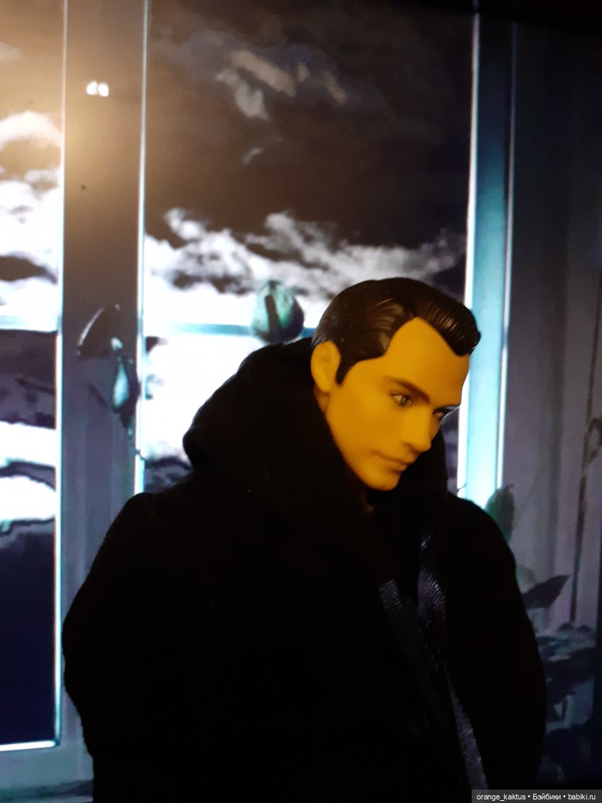 Цветы шиповника. Часть 15. Как Михаил Андреевич стал Кактусом