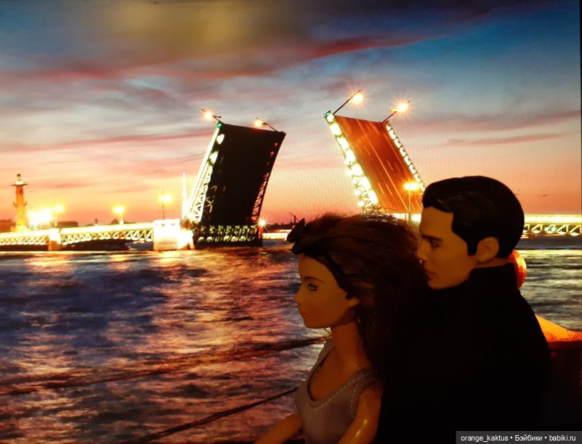 Цветы шиповника. Часть 15. Как Михаил Андреевич стал Кактусом (фото 5)