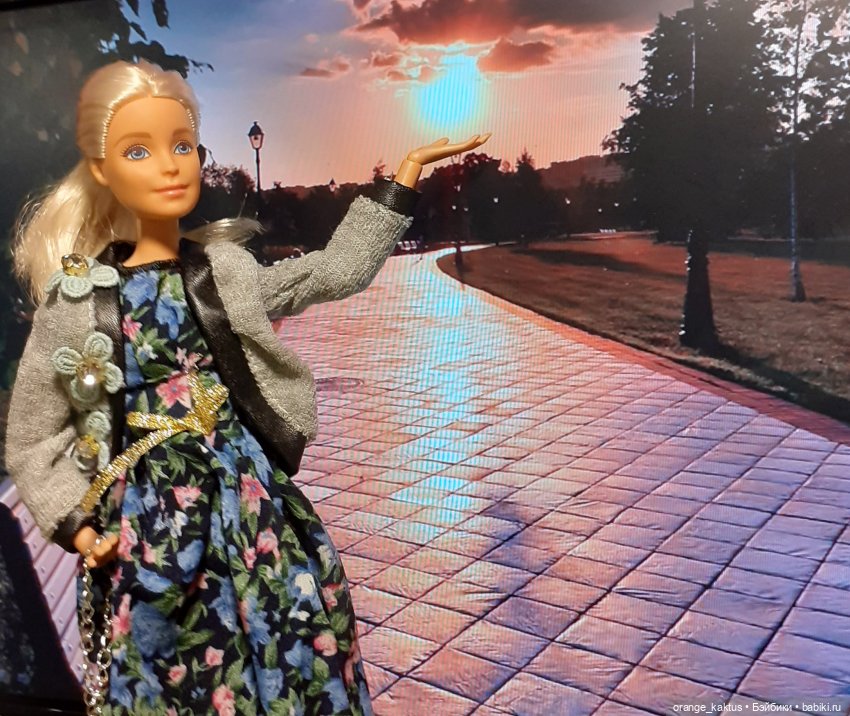 Цветы шиповника. Часть 17. Во всем виноват велосипед