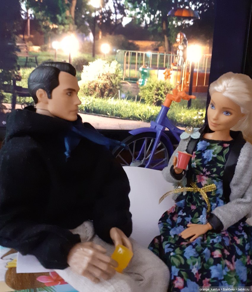 Цветы шиповника. Часть 17. Во всем виноват велосипед