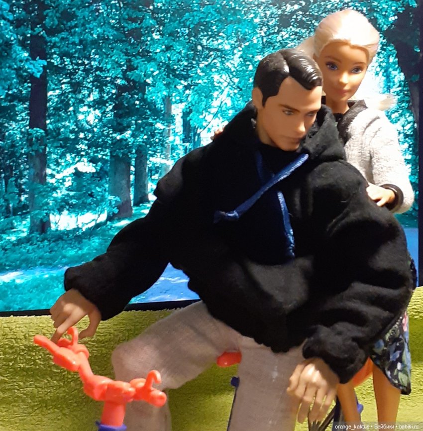 Цветы шиповника. Часть 17. Во всем виноват велосипед