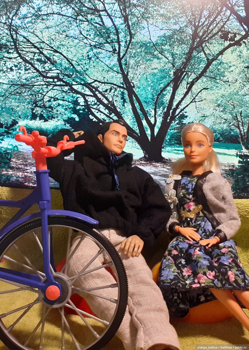 Цветы шиповника. Часть 17. Во всем виноват велосипед